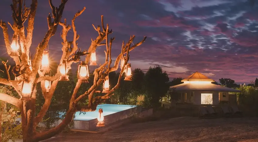 Best Luxury Resorts in Jawai Leopard Safari for Exclusive Wildlife Stays