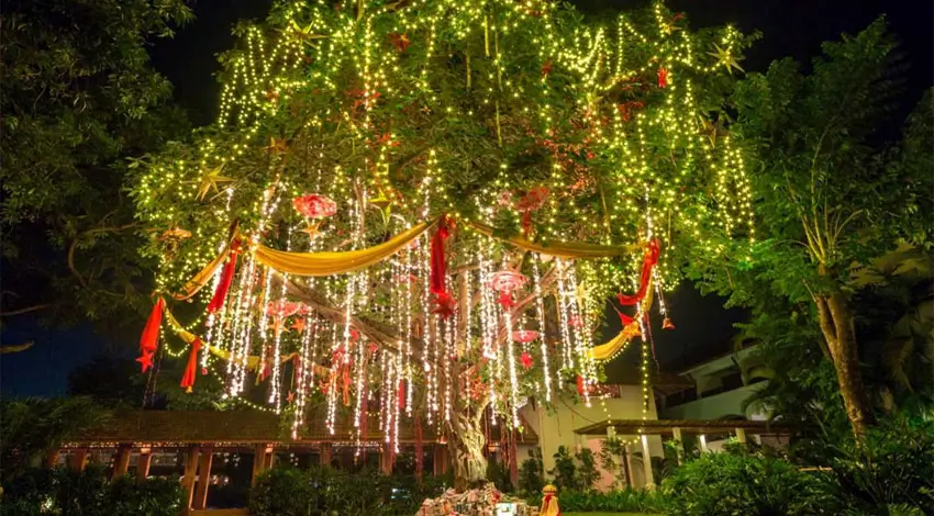 christmas-new-year-india-luxury-goa-rajasthan-kerala