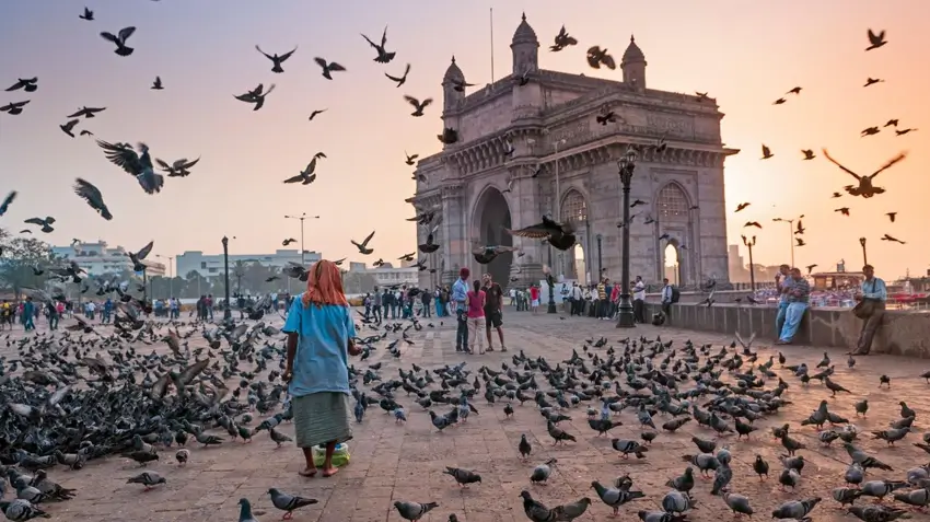 Private Driver for India Round Trip