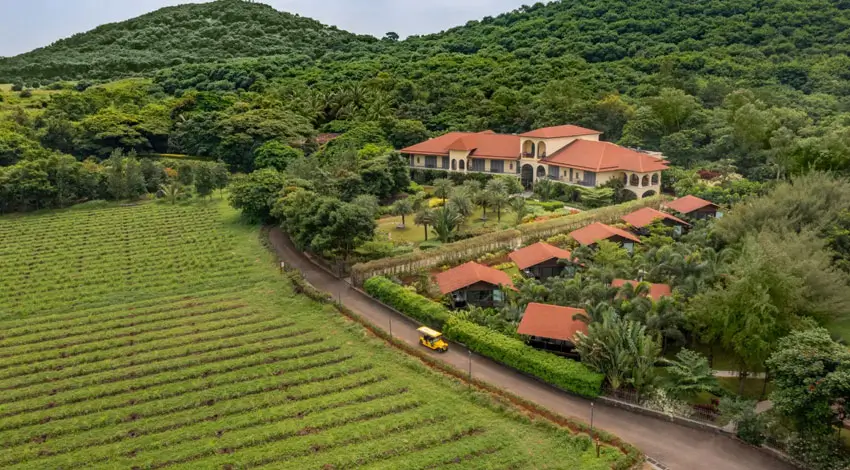 Nashik Vineyard Tour: Luxury Wine Experience in India
