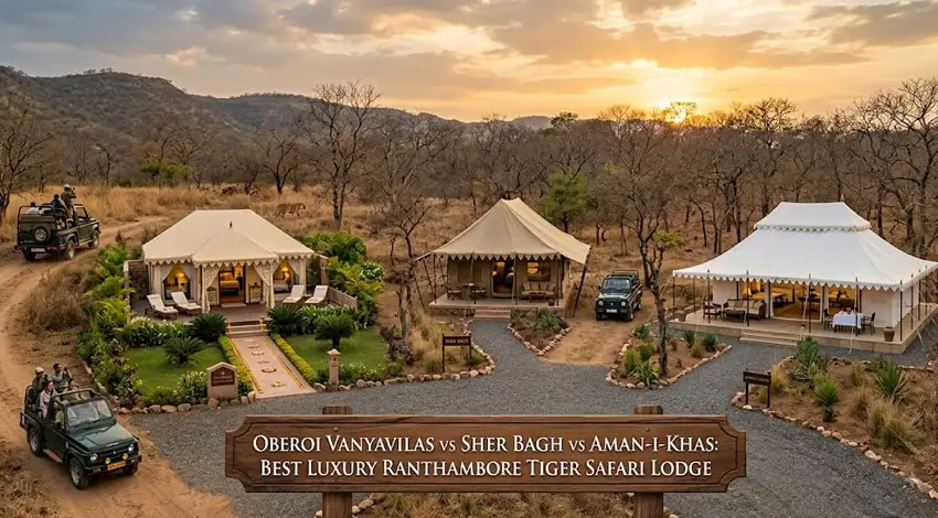 Oberoi Vanyavilas vs Sher Bagh vs Aman-i-Khas Ranthambore