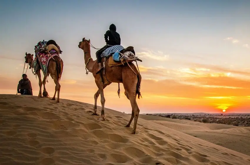 Same Day City Tours in Rajasthan with Private Driver