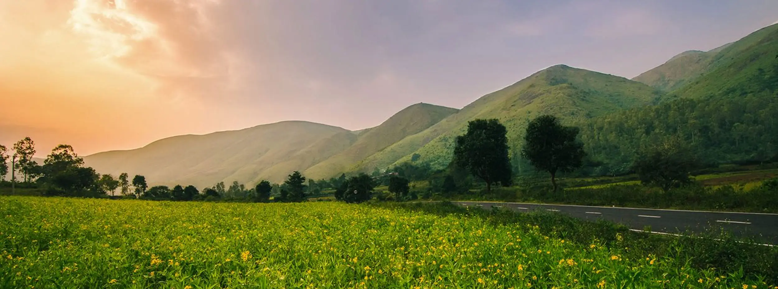 Odisha Travel Guide