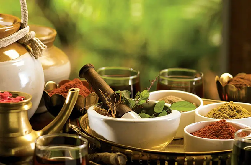 Kerala Ayurveda & Wellness Retreat