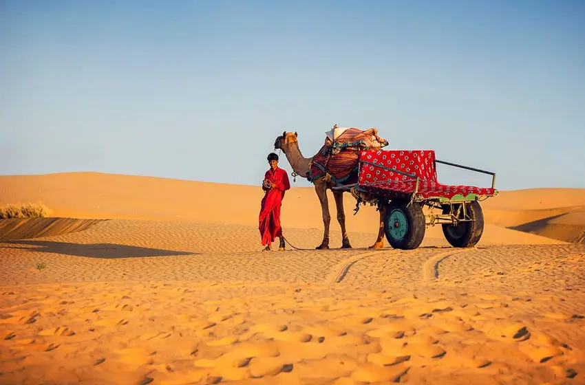Wheelchair Friendly Rajasthan Desert & Palace Tour