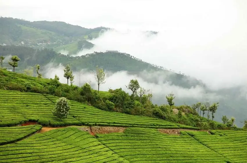 Golden Triangle Tour with Ooty & Coonoor