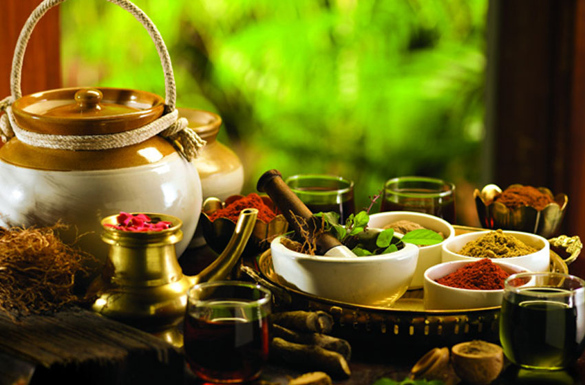 Golden Triangle Tour with Ayurveda & Wellness | 12 Days of Heritage & Healing
