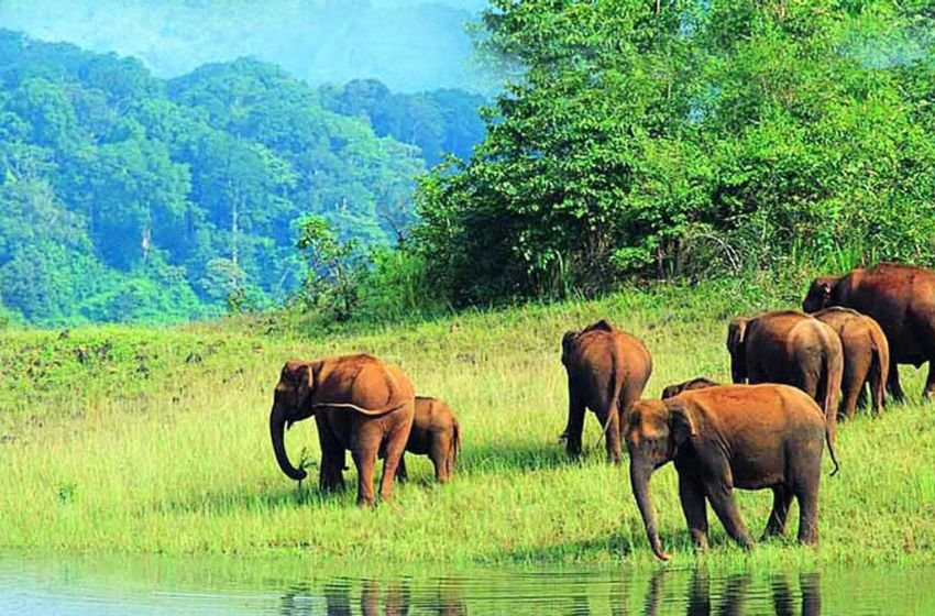 Karnataka Wildlife & Heritage Luxury Tour | 11 Days Private Tour