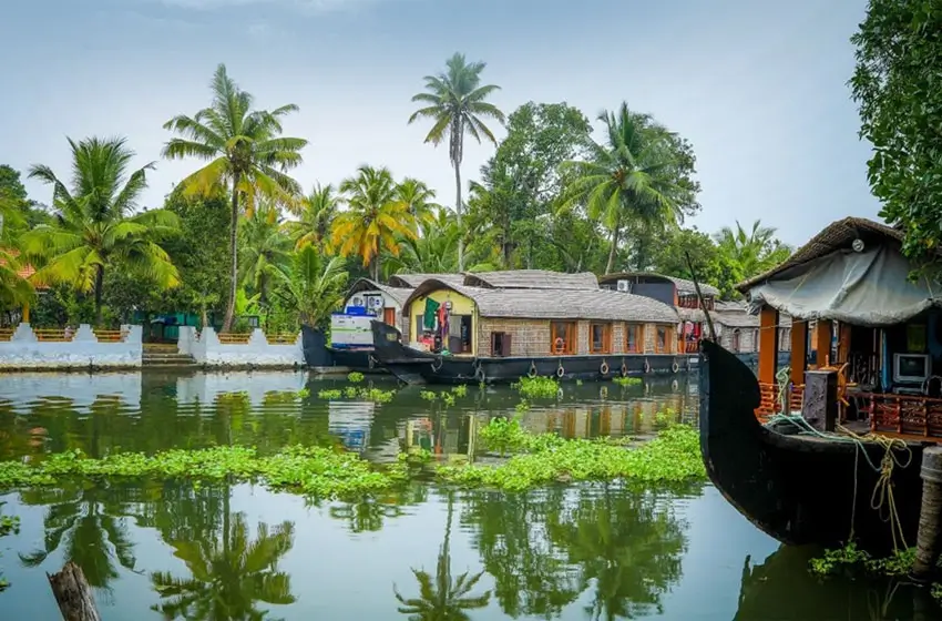 luxury-kerala-backwaters-ayurveda-retreat-tour