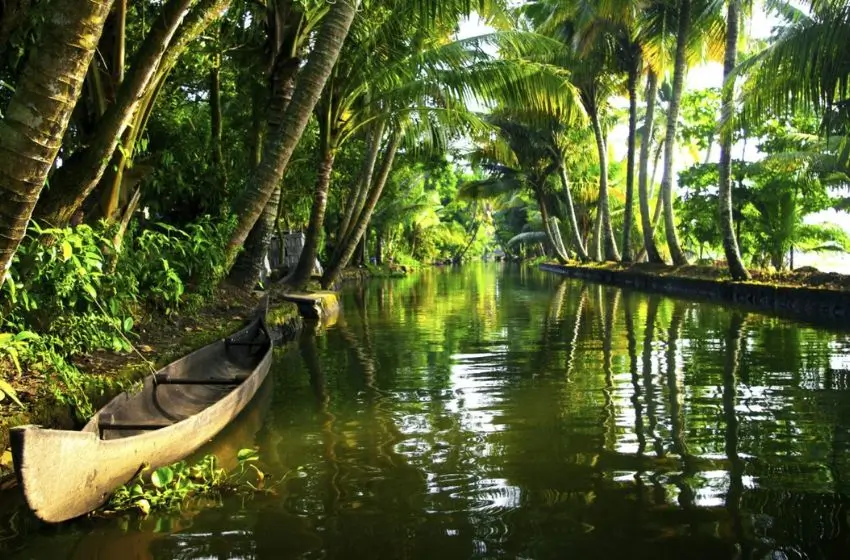 Luxury Kerala Plantation & Backwaters Journey | 9 Days Private Tour