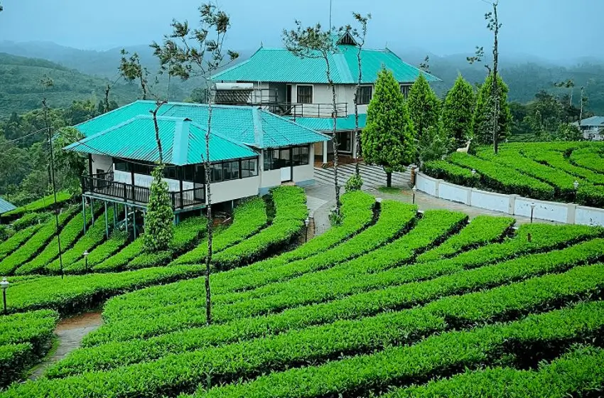 Luxury Nilgiri Mountains & Tea Estates Tour | 9 Days Private Holiday