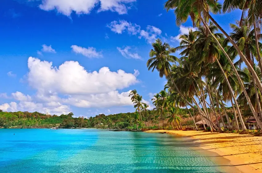 Luxury Rajasthan Palaces and Goa Beach Private Retreat