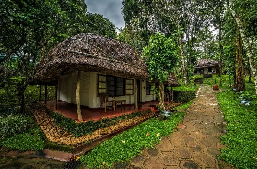 Luxury South India Small Group Tour | 14 Days Premium Private Journey