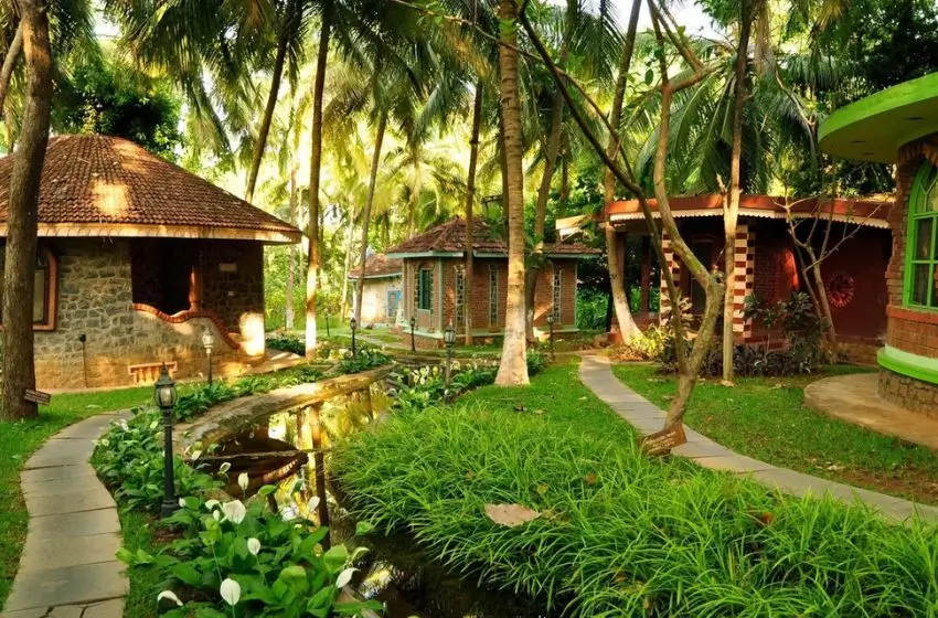 Luxury South India Wellness & Ayurveda Tour | 14 Days Luxury Retreat
