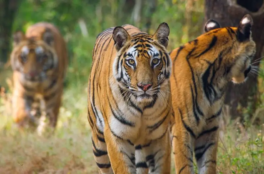 Offbeat Rajasthan Tour from Delhi