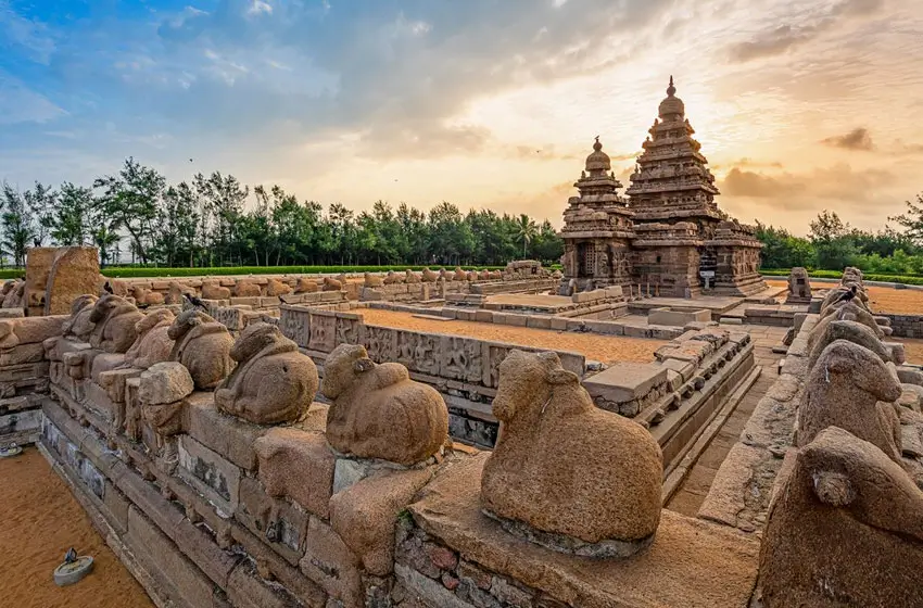 Solo Female South India Temple & Coastal Retreat