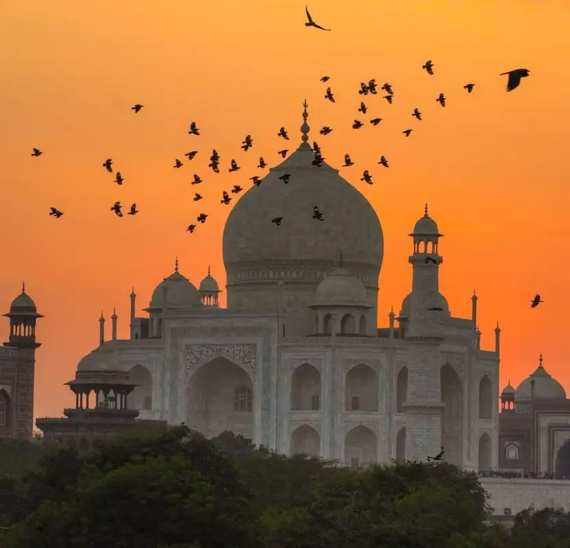 luxury-india-photography-tour-palaces-wildlife
