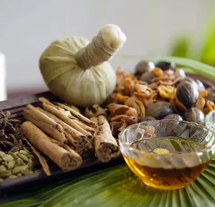 Solo Female Kerala Wellness & Culture Retreat – Backwaters, Ayurveda & Beaches