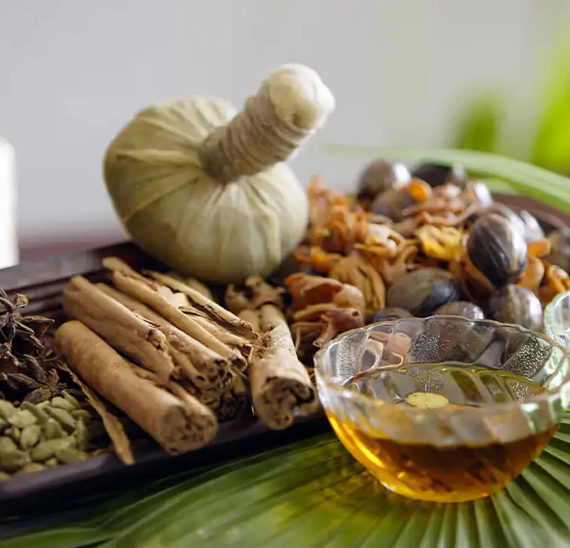 Kerala Ayurveda & Wellness Retreat