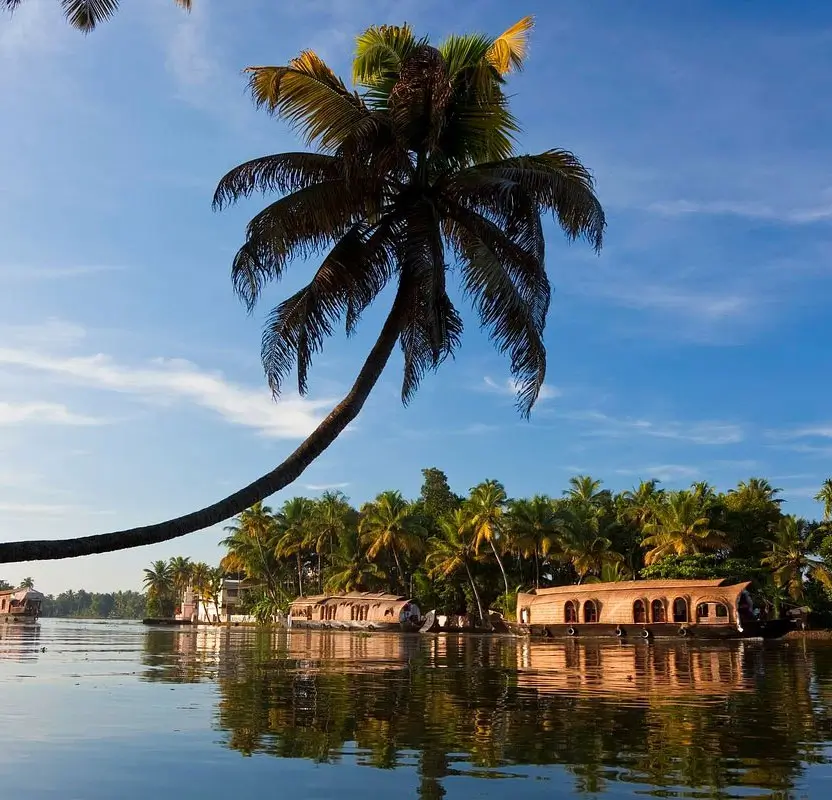 Coastal Calm: Kerala Backwaters & Ayurveda for Women