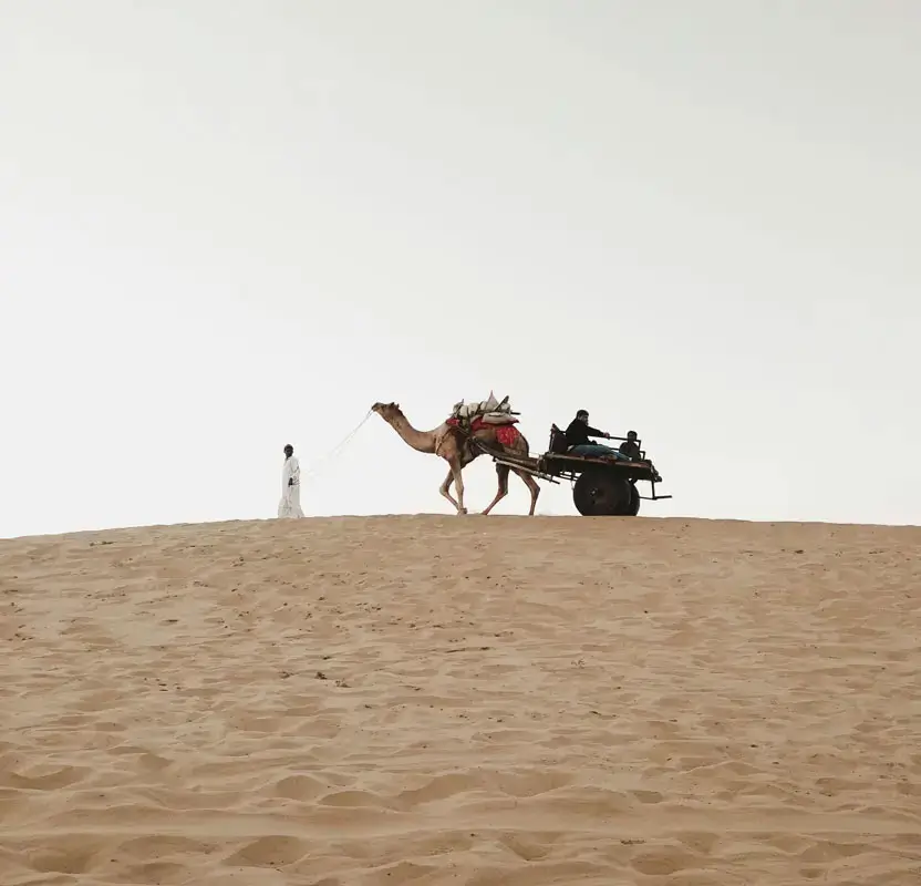 Title: Jaipur Village & Rural Experience Tour with Crafts & Camel Ride