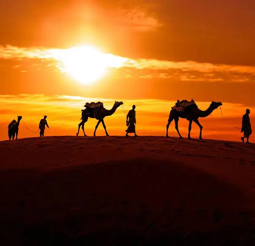 Title: Jaipur Village & Rural Experience Tour with Crafts & Camel Ride