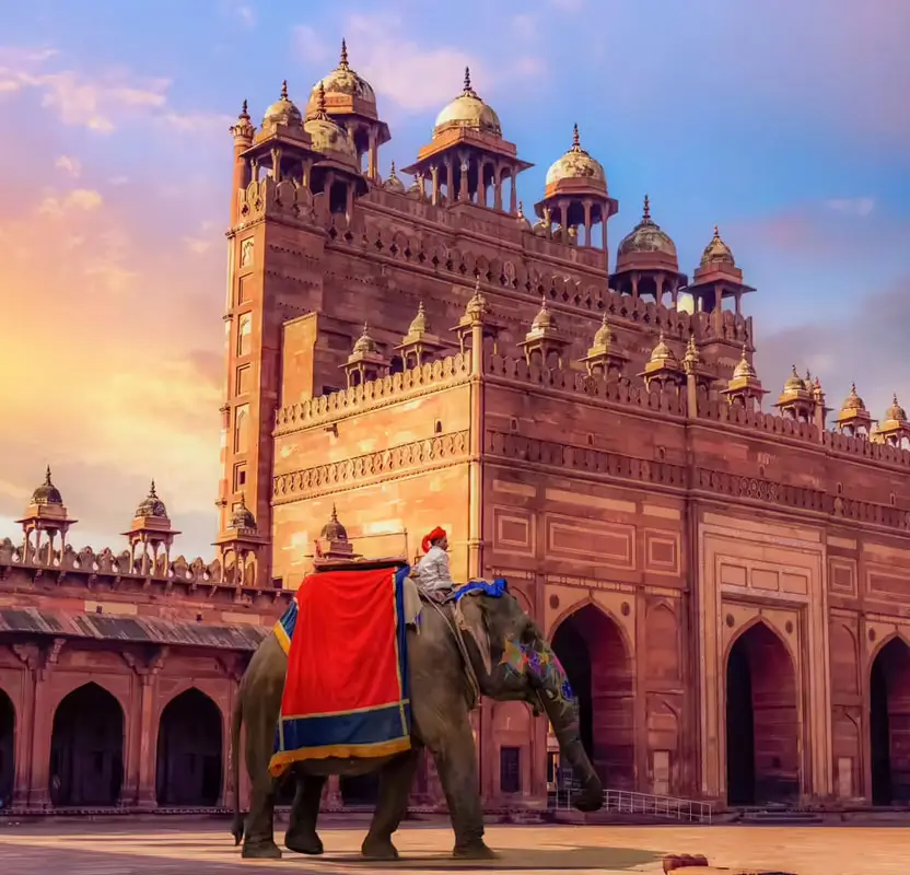 Rajasthan Tour with Spanish Speaking Guide