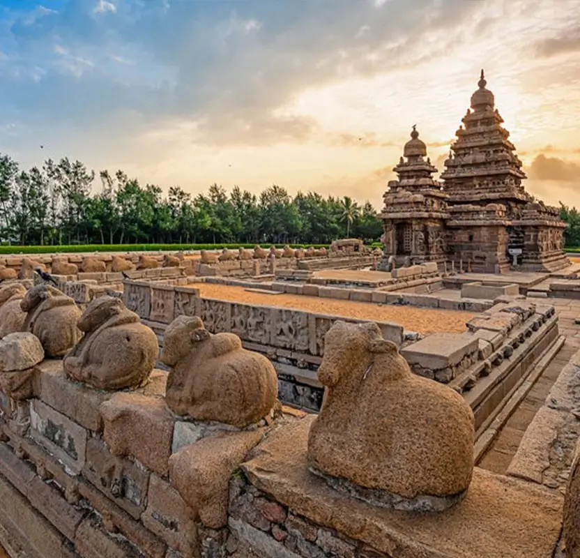 Tamil Nadu Temple Trail & French Colony Experience