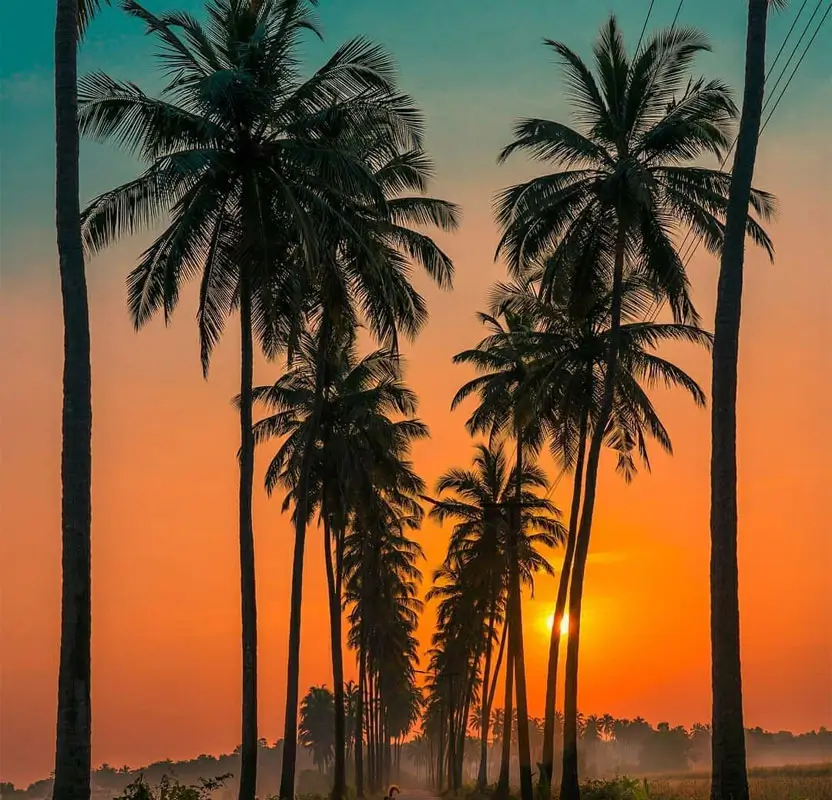 Luxury Goa & Kerala Tour for Gay