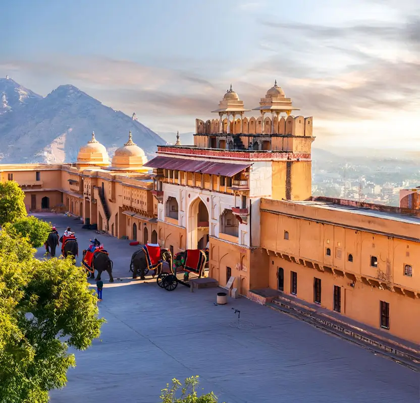 Golden Triangle Family Reunion Travel Experience