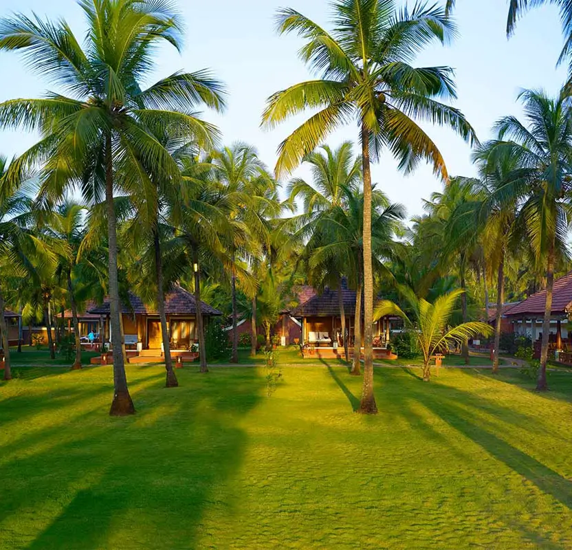 Golden Triangle Tour with Kerala Luxury Ayurveda Retreat