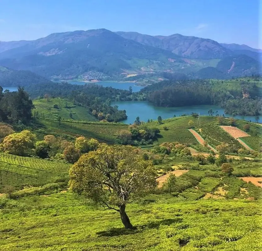 Golden Triangle Tour with Ooty & Coonoor