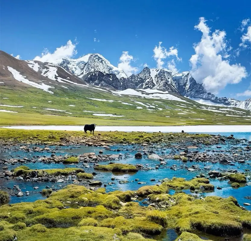 Golden Triangle Tour with Sikkim & Darjeeling