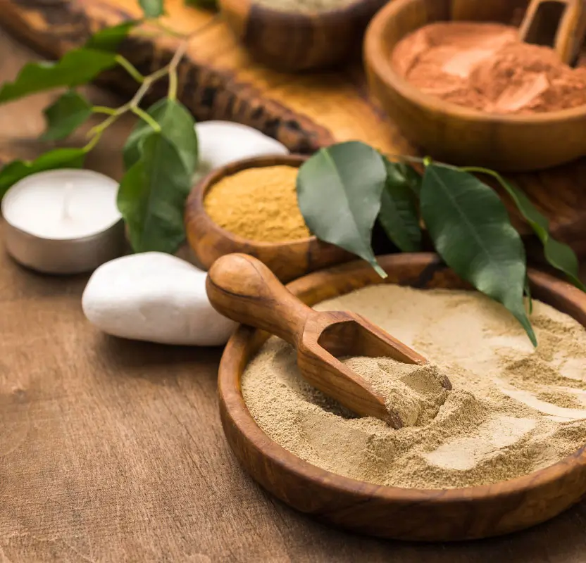 Rajasthan Wellness & Ayurveda Luxury Tour