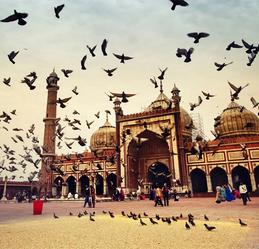 Relaxation Golden Triangle Tour | Slow-Paced Luxury Journey in Delhi, Agra & Jaipur