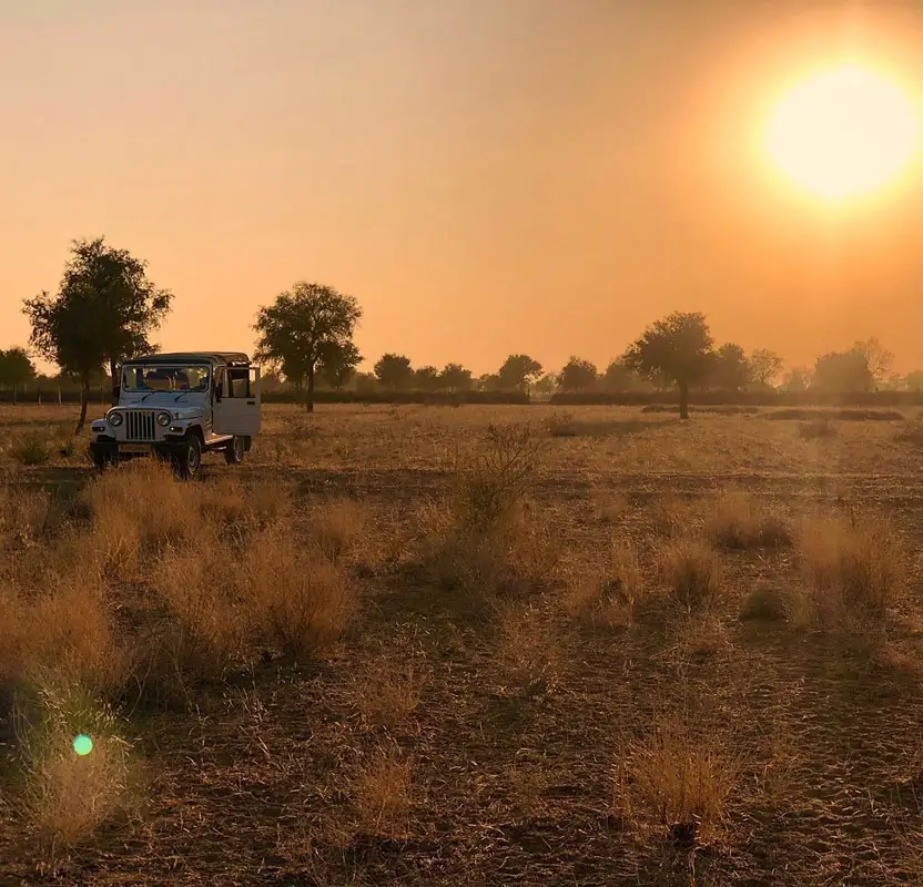 Rajasthan Village Tour with Bishnoi & Rural Experiences – 10 Days of Culture, Heritage & Rural Charm