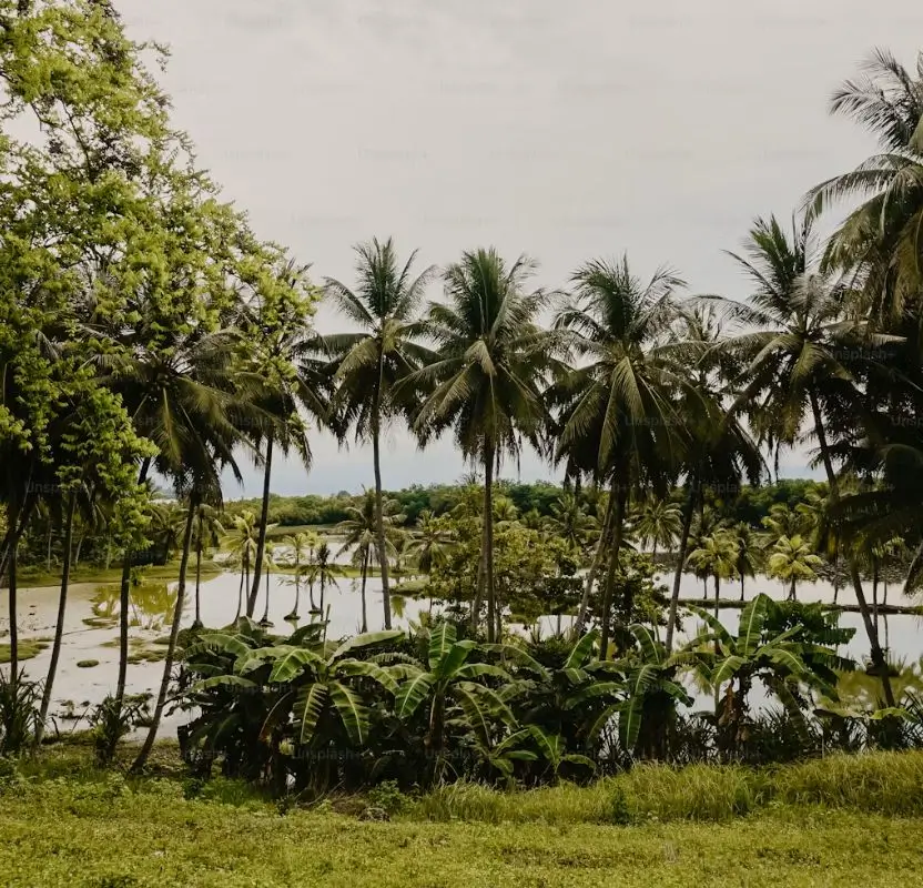Karnataka Wildlife & Heritage Luxury Tour | 11 Days Private Tour