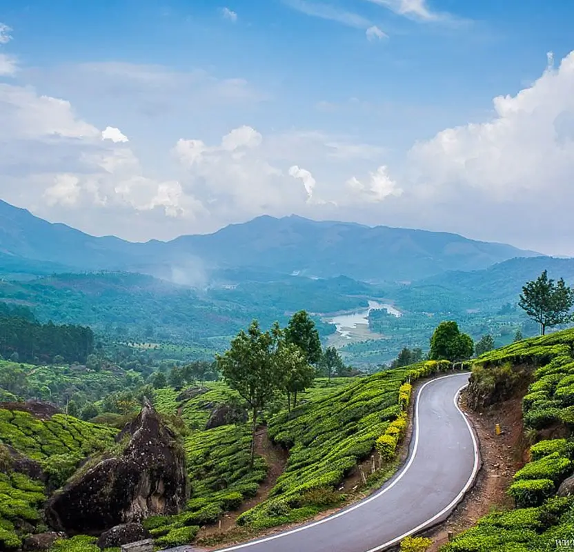Classic Kerala Hills & Wildlife