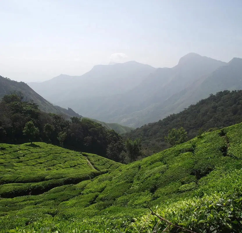 Highlights of Kerala and Maldives