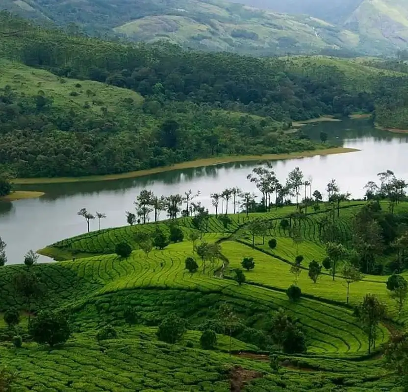 Luxury India Tour from Delhi, Agra & Rajasthan Palaces to Kerala Backwaters