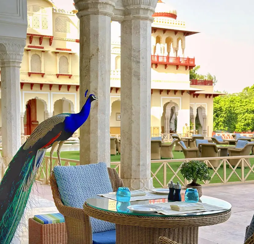 Rajasthan Luxury Tour with Rambagh Palace & Udaivilas Stay
