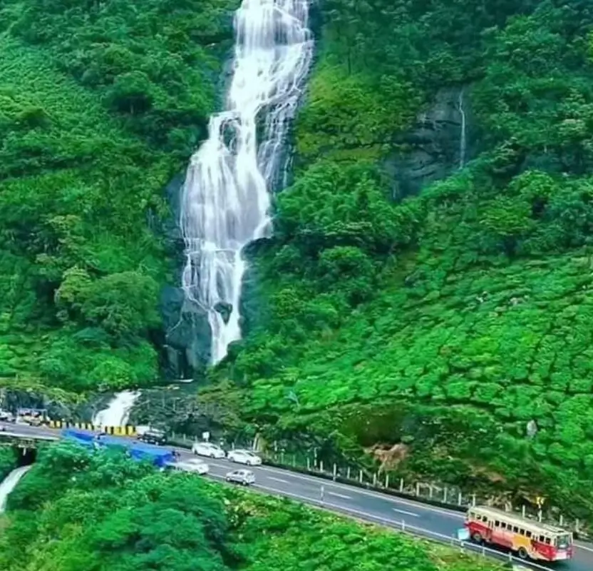 Luxury Kerala & Nilgiri Hills Tour | 9 Days Private Holiday