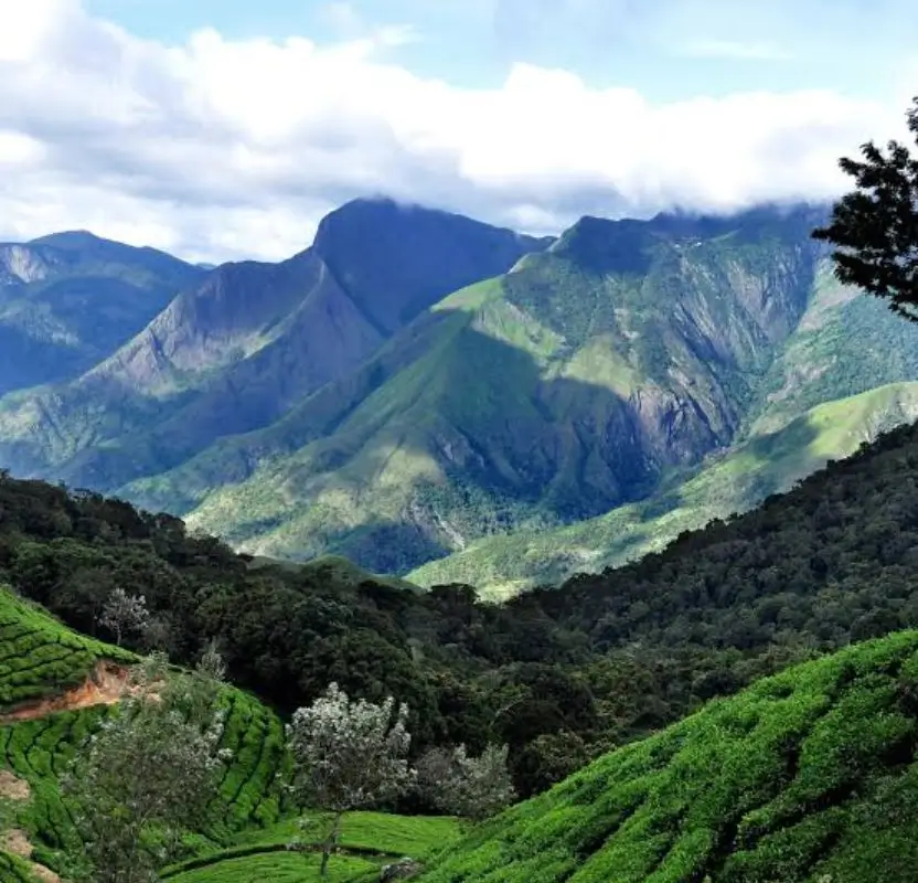 Luxury South India Small Group Tour | 14 Days Premium Private Journey