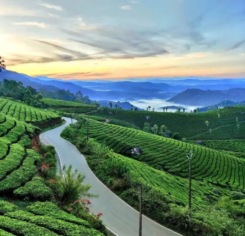 luxury-kerala-backwaters-ayurveda-retreat-tour