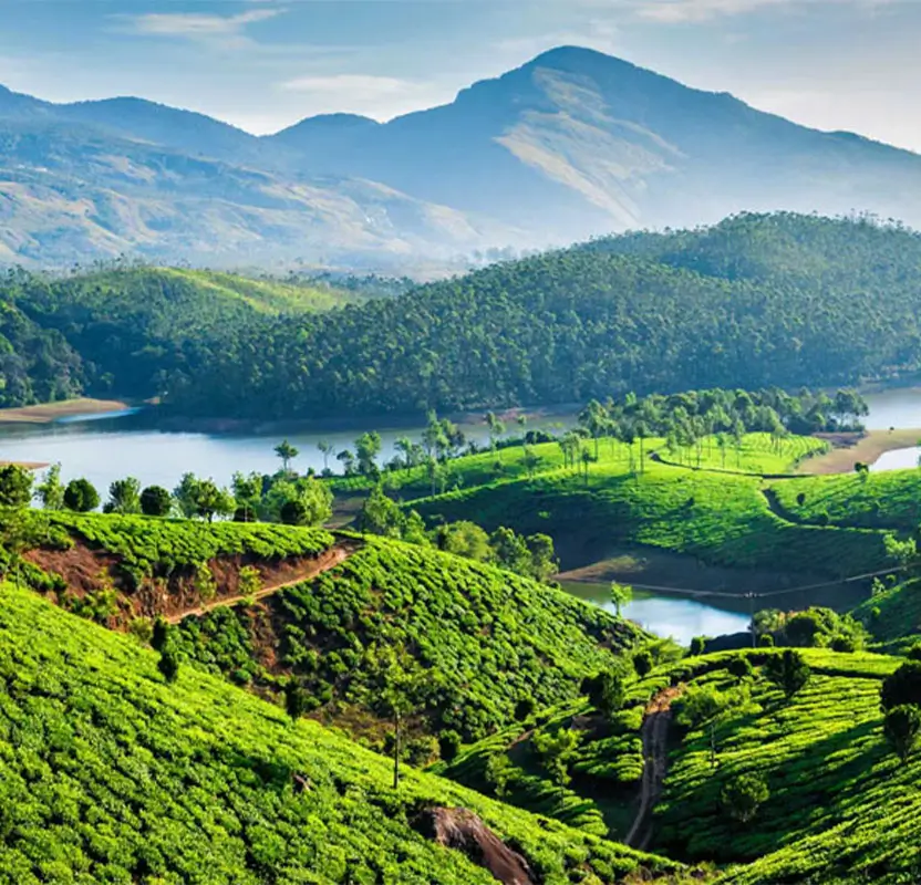Tamil Nadu to Kerala: Temples, Tea & Backwaters