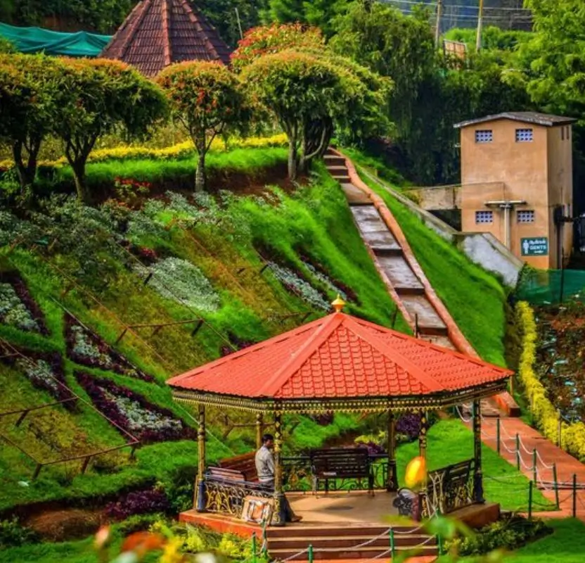 Luxury Nilgiri Mountains & Tea Estates Tour | 9 Days Private Holiday