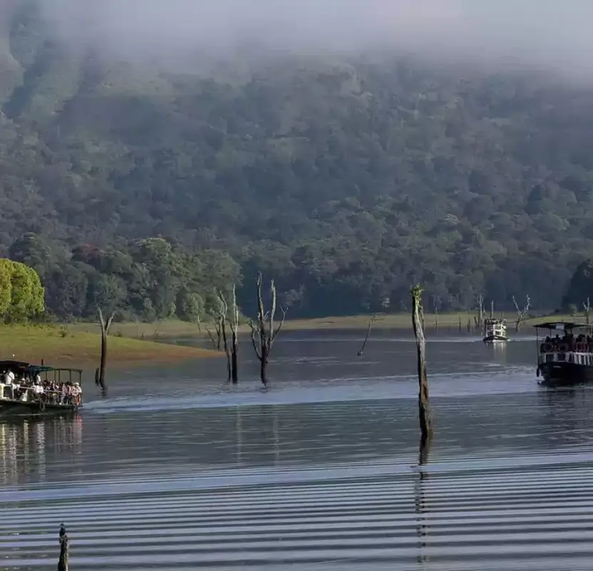 Kerala Wildlife & Luxury Beach Escape | 10 Days Private Tour