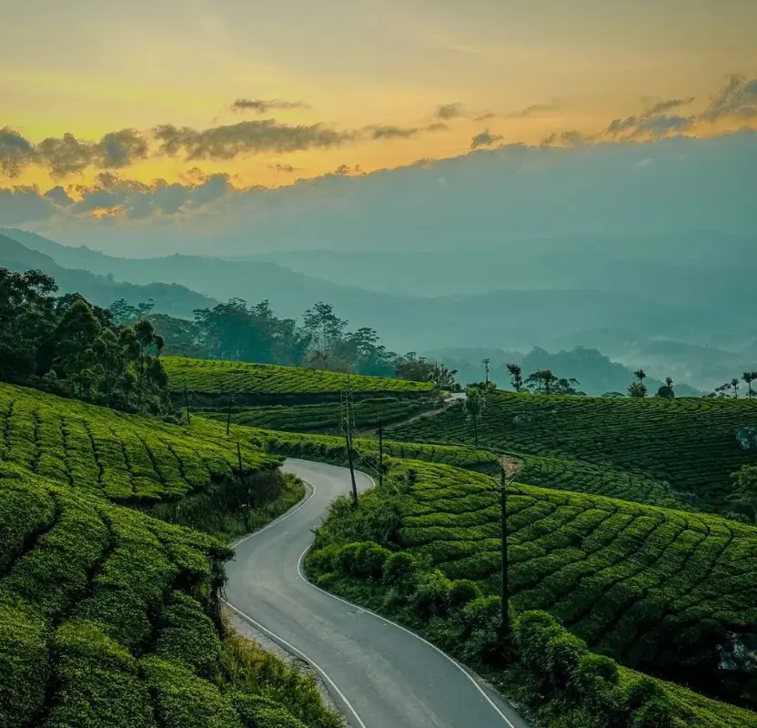 Luxury Palaces to Backwaters – Rajasthan & Kerala Grand Tour | 15 Days Private Luxury India Holiday