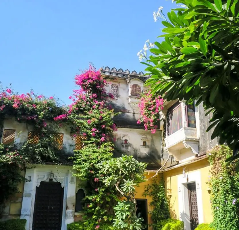 Village Tour of Rural Rajasthan