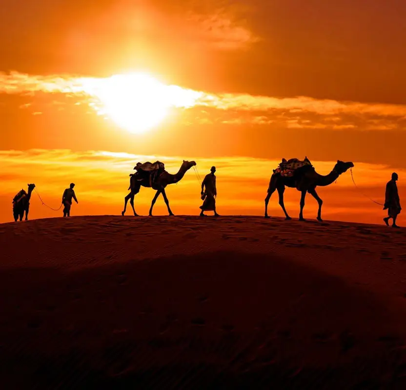 Wheelchair Friendly Rajasthan Desert & Palace Tour